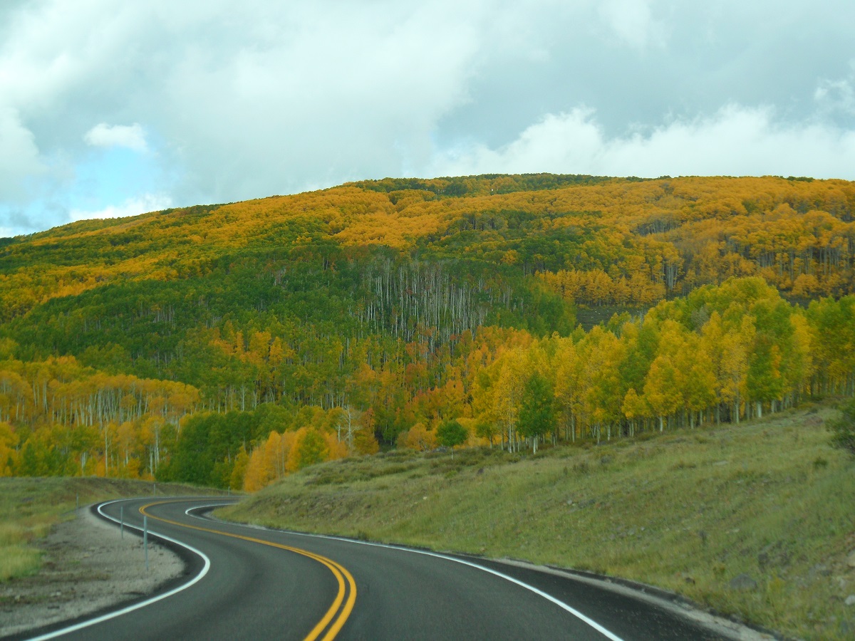 Beautiful landscape in yellow and green.